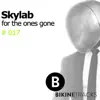 Skylab - For the Ones Gone - Single